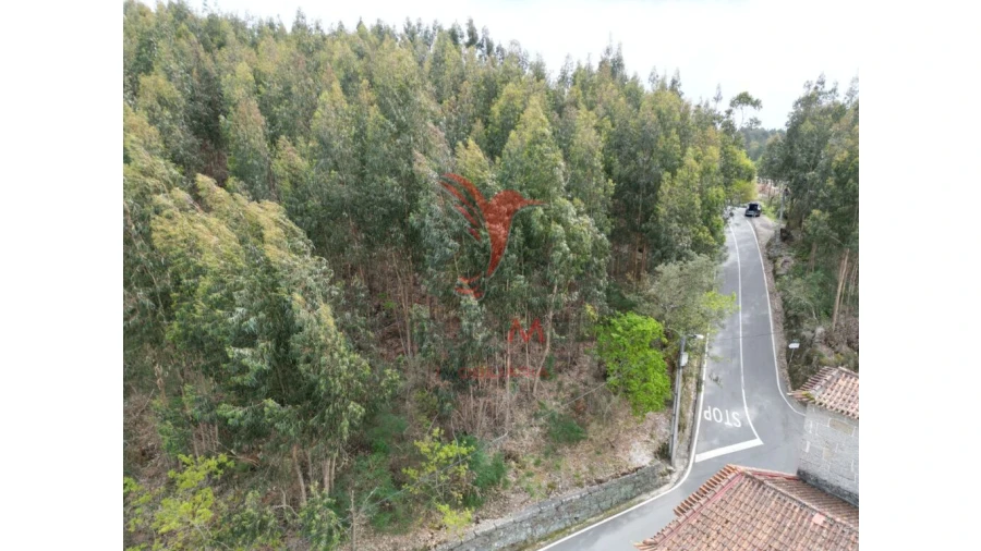 Terreno para Venda em Polvoreira Foto 2