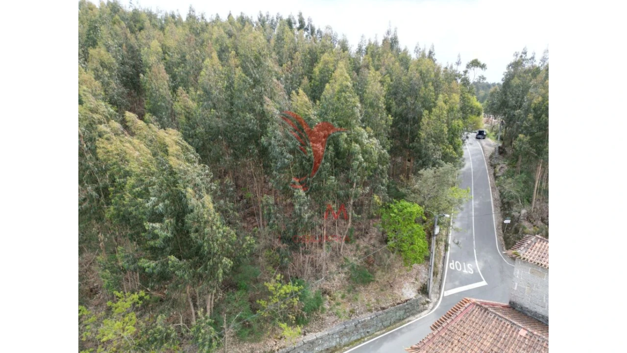Terreno para Venda em Polvoreira Foto 2
