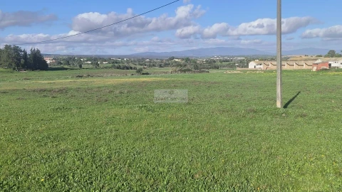 Terreno para Venda em Odiaxere