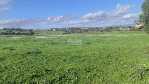 Terreno para Venda em Odiaxere