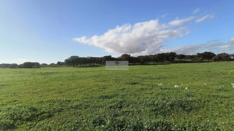 Terreno para Venda em Odiaxere