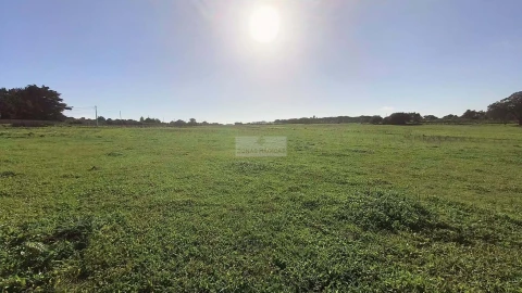 Terreno para Venda em Odiaxere