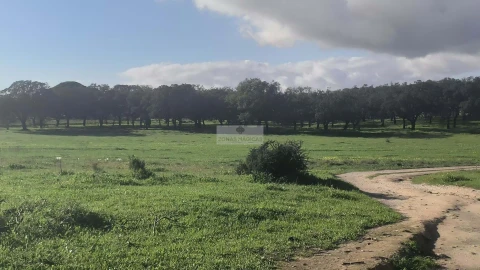 Terreno para Venda em Odiaxere