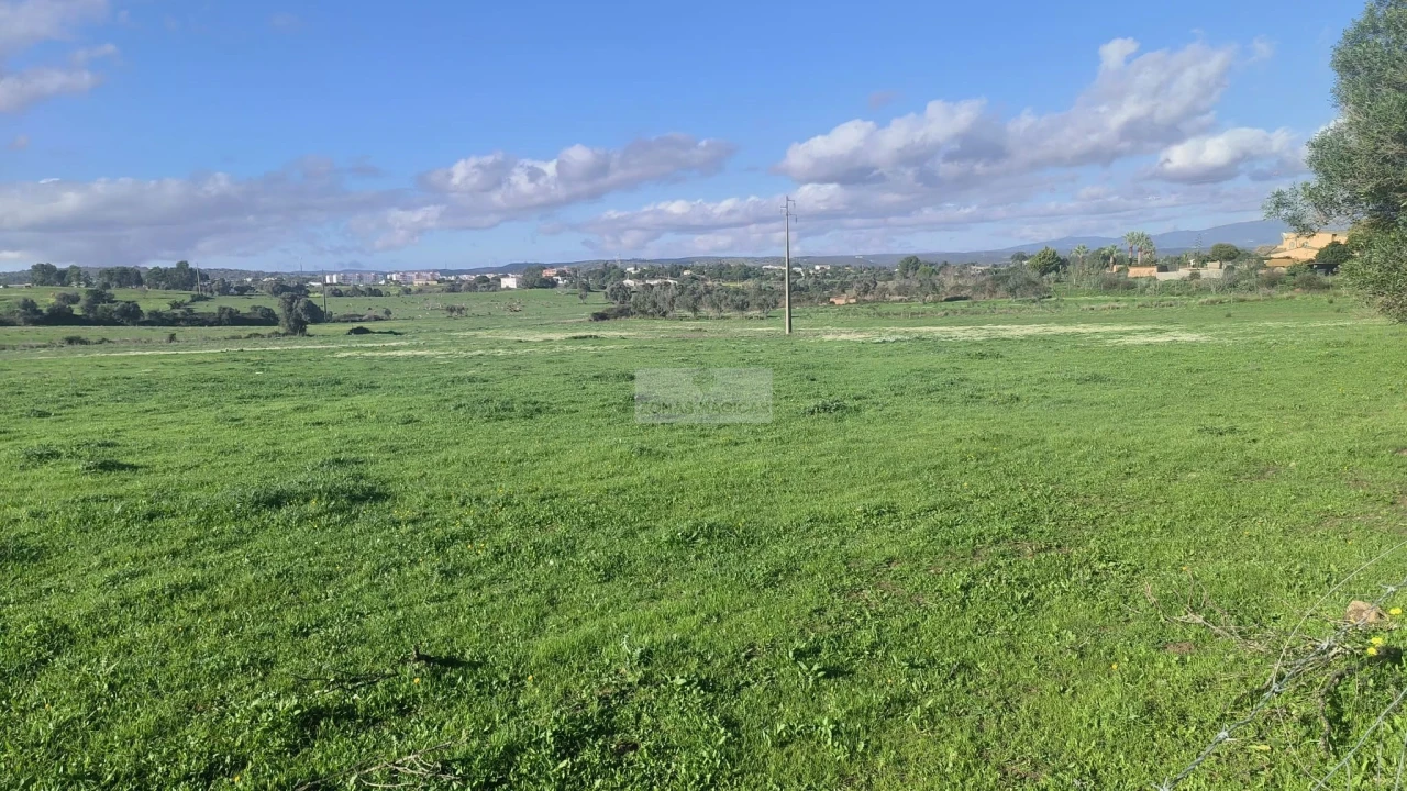 Terreno para Venda em Odiaxere Foto 19