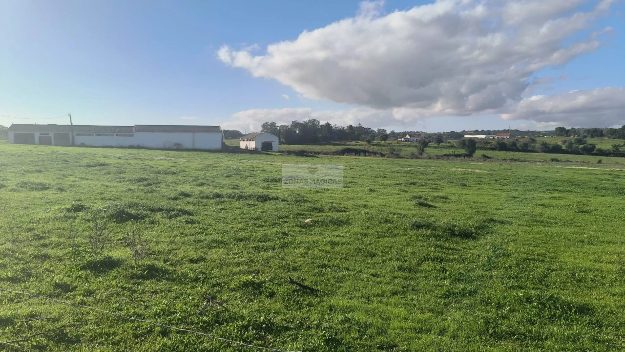 Terreno para Venda em Odiaxere Foto 18