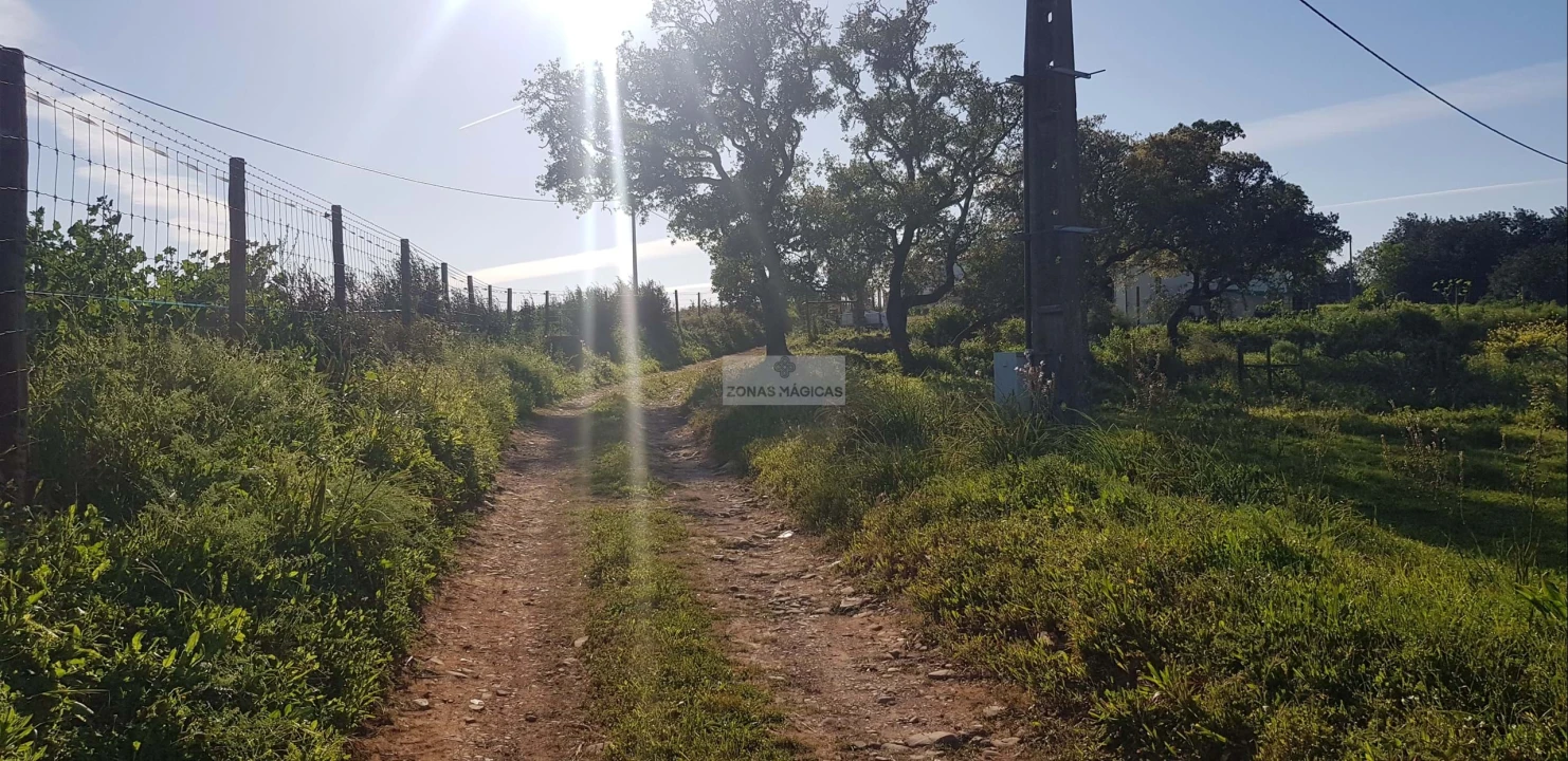 Terreno para Venda em Odiaxere Foto 15