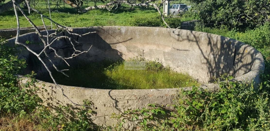 Terreno para Venda em Odiaxere