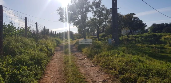Terreno para Venda em Odiaxere