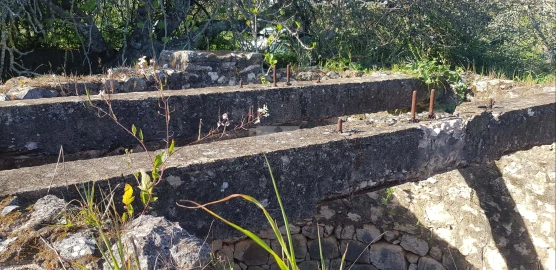 Terreno para Venda em Odiaxere