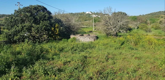Terreno para Venda em Odiaxere
