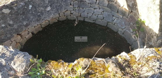 Terreno para Venda em Odiaxere