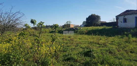 Terreno para Venda em Odiaxere