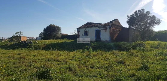 Terreno para Venda em Odiaxere