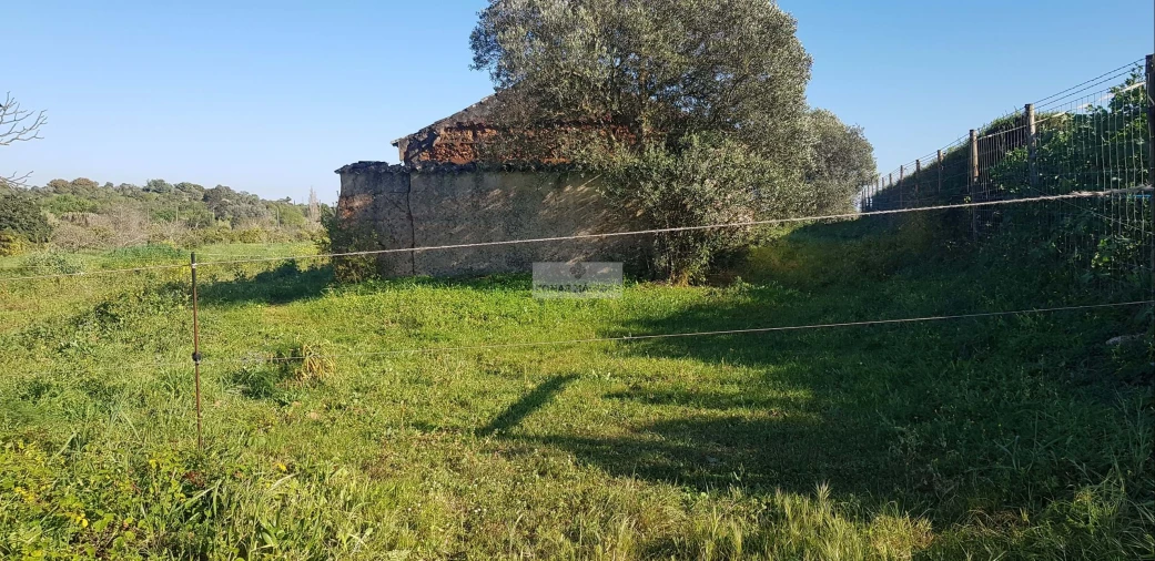 Terreno para Venda em Odiaxere Foto 13