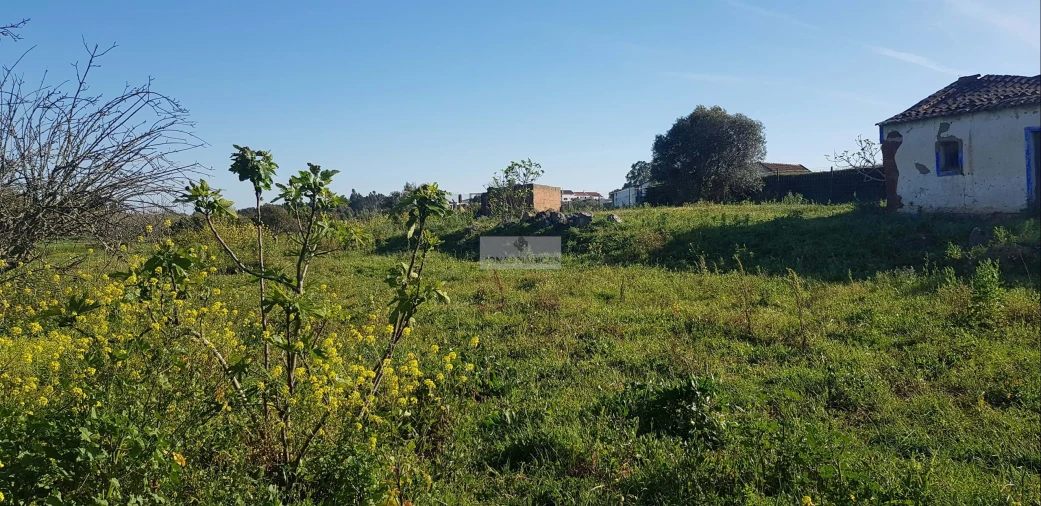 Terreno para Venda em Odiaxere Foto 9