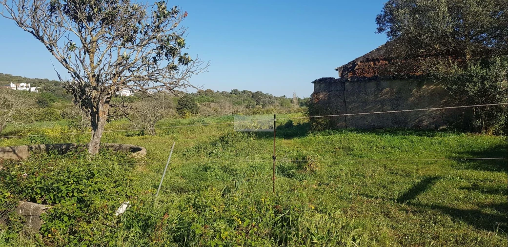 Terreno para Venda em Odiaxere Foto 12