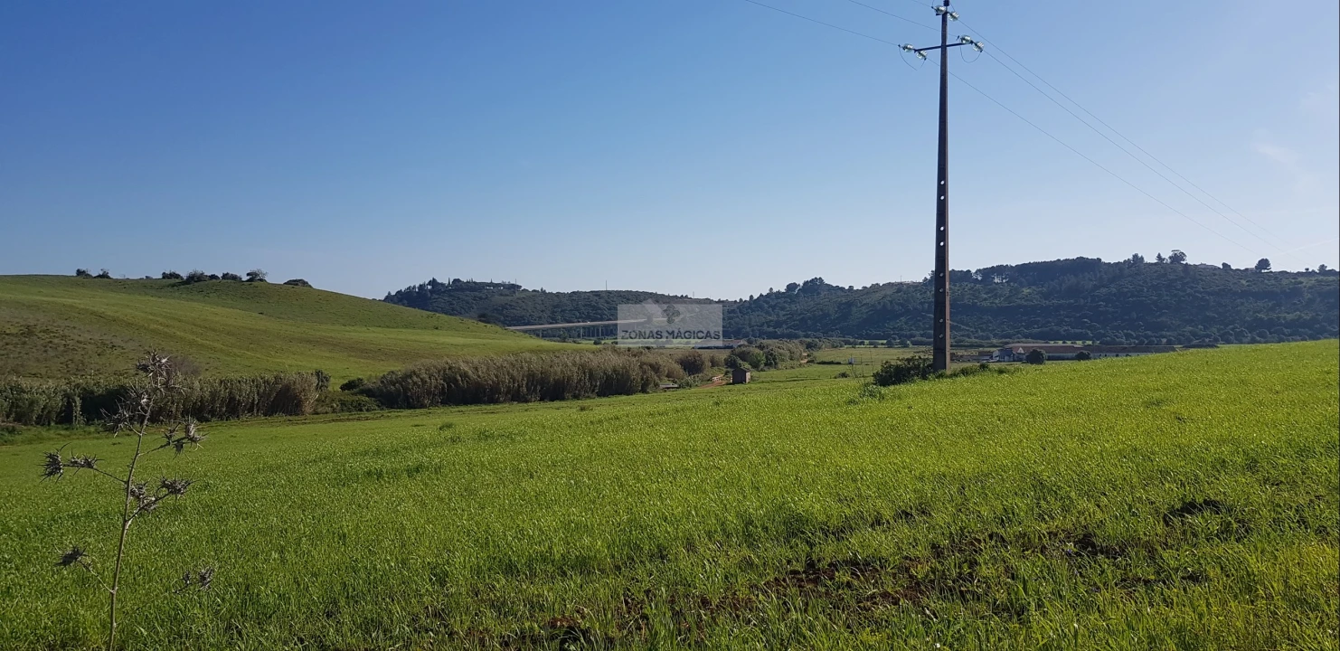 Terreno para Venda em Odiaxere Foto 3