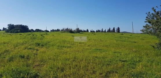 Terreno para Venda em Odiaxere
