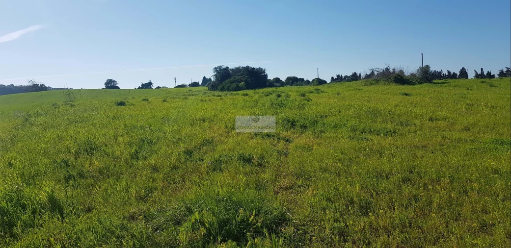 Terreno para Venda em Odiaxere Foto 2