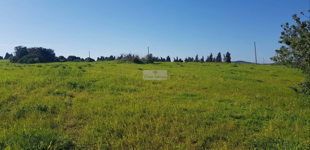 Terreno para Venda em Odiaxere