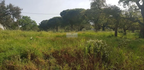 Terreno para Venda em Odiaxere