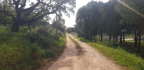 Terreno para Venda em Odiaxere