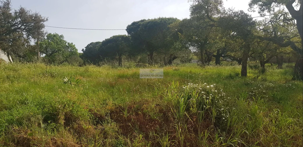 Terreno para Venda em Odiaxere Foto 3