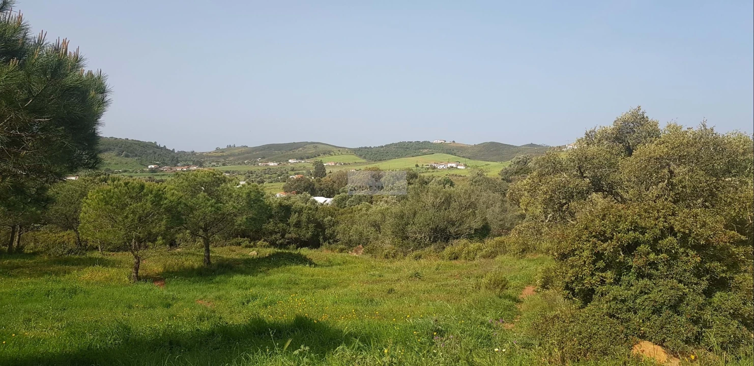 Terreno para Venda em Odiaxere Foto 6
