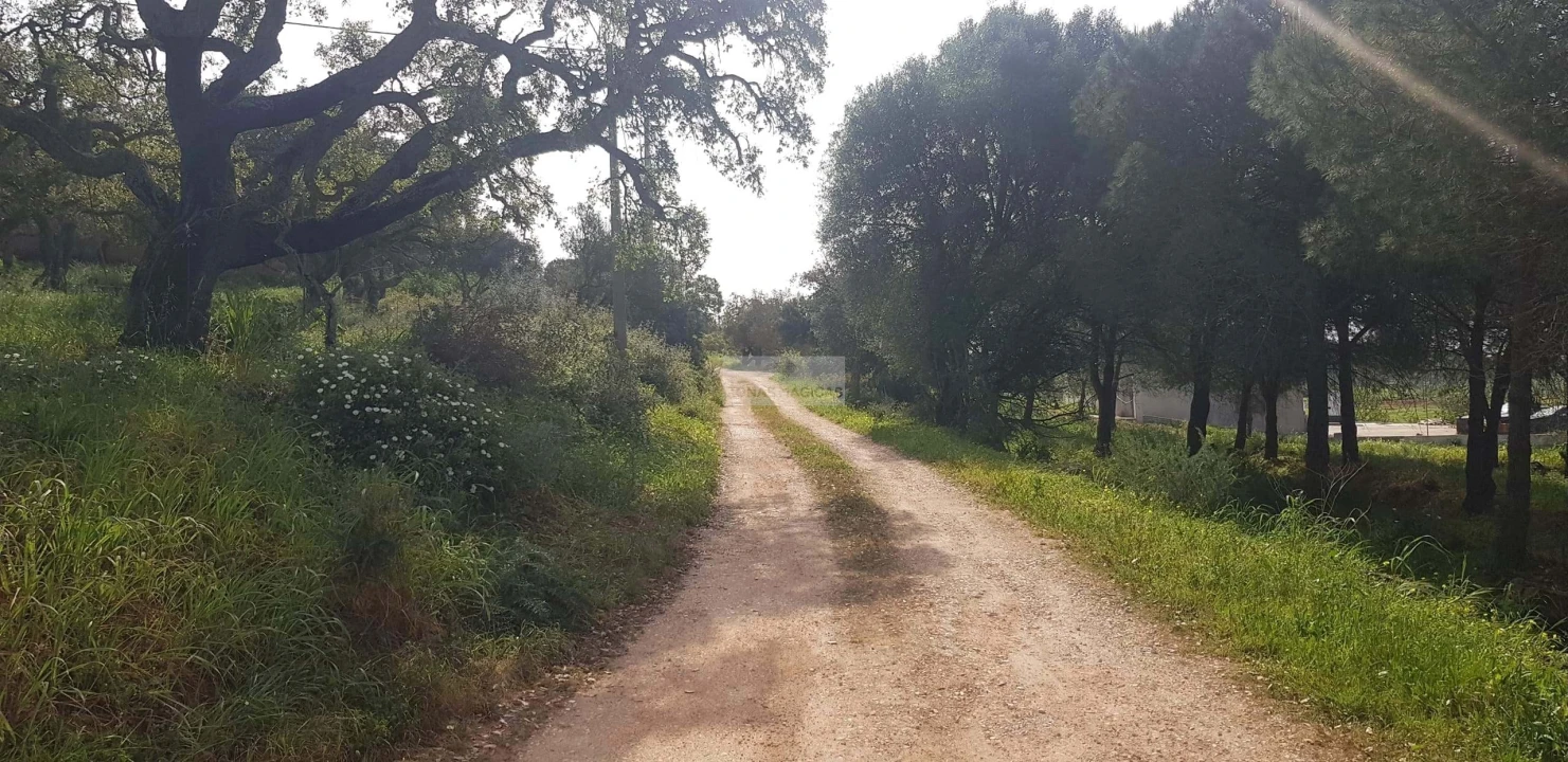 Terreno para Venda em Odiaxere Foto 2