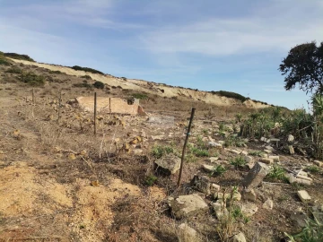 Terreno para Venda em Vila do Bispo e Raposeira