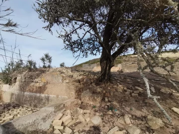 Terreno para Venda em Vila do Bispo e Raposeira