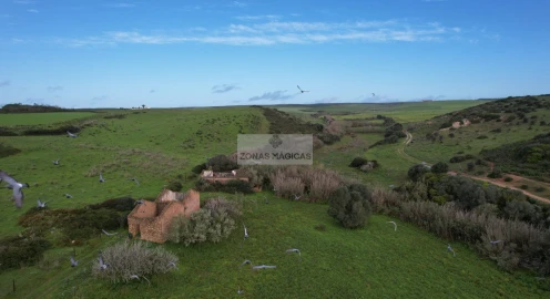 Terreno para Venda em Vila do Bispo e Raposeira