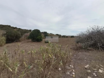 Terreno para Venda em Vila do Bispo e Raposeira