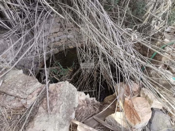 Terreno para Venda em Vila do Bispo e Raposeira