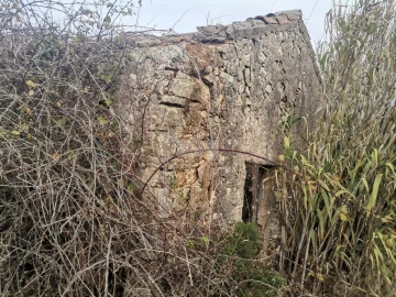 Terreno para Venda em Vila do Bispo e Raposeira