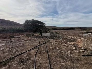 Terreno para Venda em Vila do Bispo e Raposeira