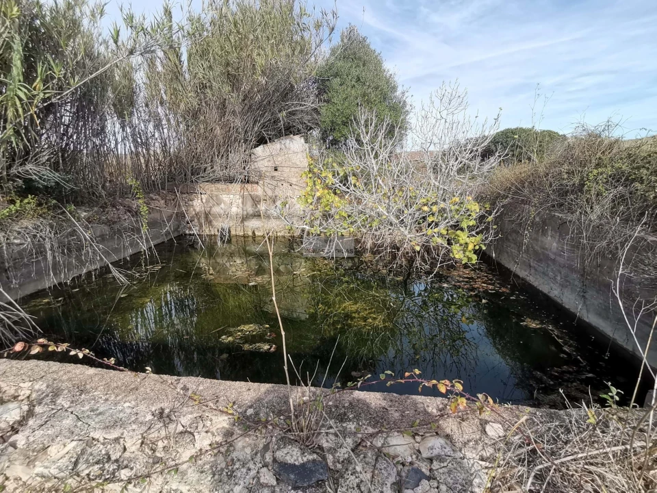 Terreno para Venda em Vila do Bispo e Raposeira Foto 18