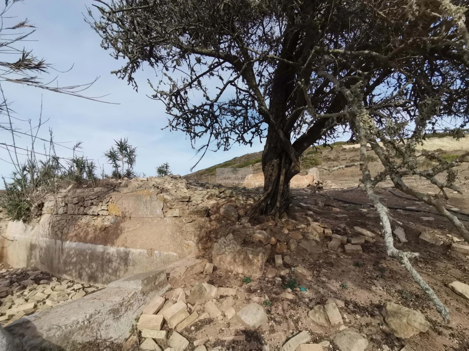 Terreno para Venda em Vila do Bispo e Raposeira Foto 32
