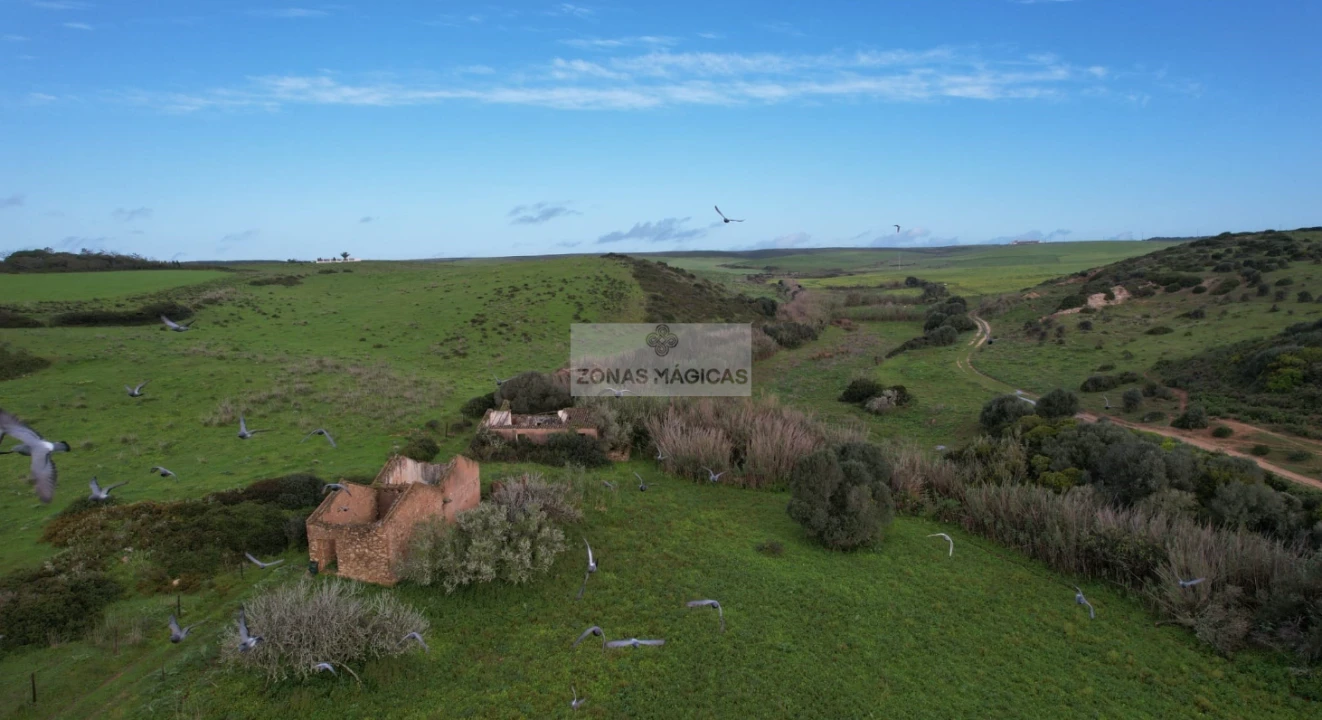 Terreno para Venda em Vila do Bispo e Raposeira Foto 4
