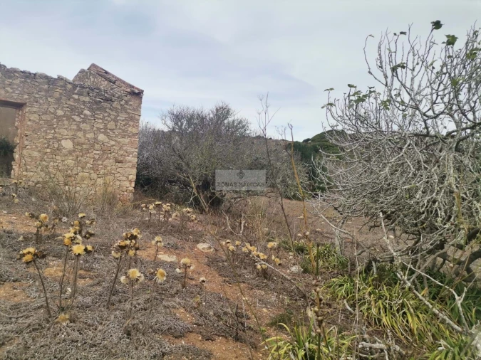 Terreno para Venda em Vila do Bispo e Raposeira Foto 9