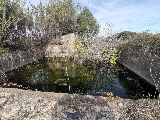 Terreno para Venda em Vila do Bispo e Raposeira Foto 18