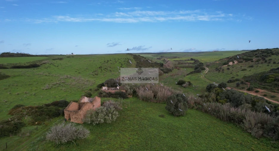 Terreno para Venda em Vila do Bispo e Raposeira Foto 2