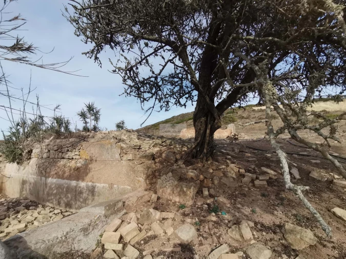 Terreno para Venda em Vila do Bispo e Raposeira Foto 32