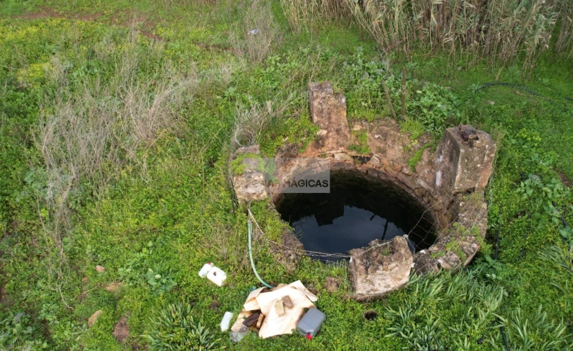 Terreno para Venda em Vila do Bispo e Raposeira Foto 5