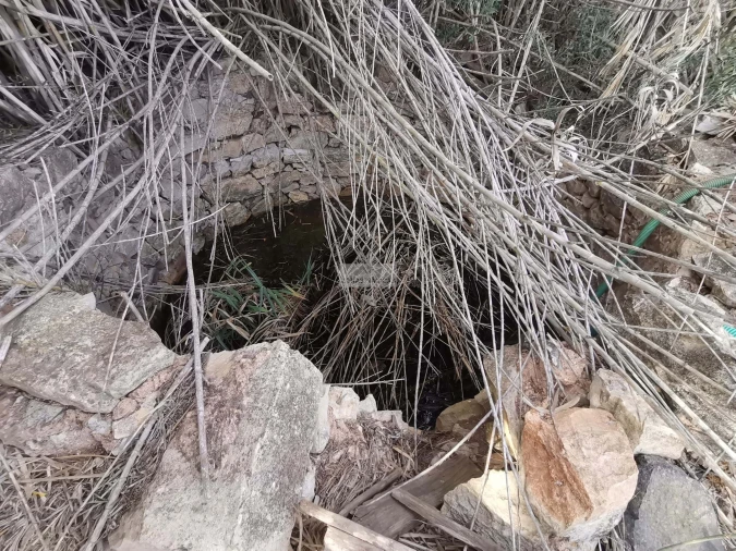 Terreno para Venda em Vila do Bispo e Raposeira Foto 21