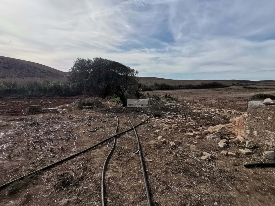 Terreno para Venda em Vila do Bispo e Raposeira Foto 26
