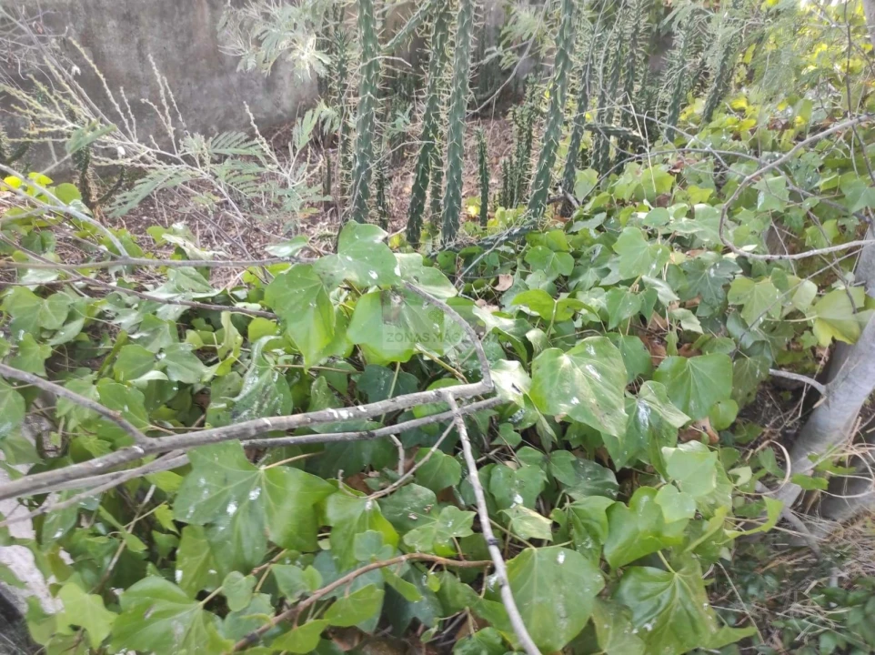 Terreno para Venda em Odiaxere Foto 6
