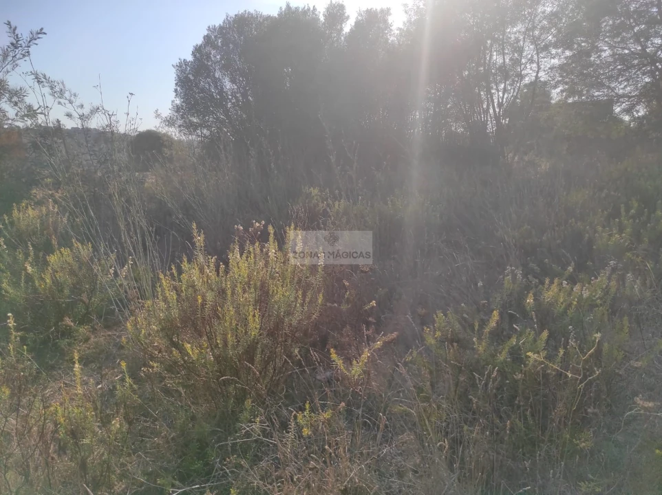 Terreno para Venda em Odiaxere Foto 4