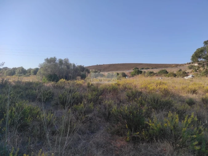 Terreno para Venda em Odiaxere Foto 5