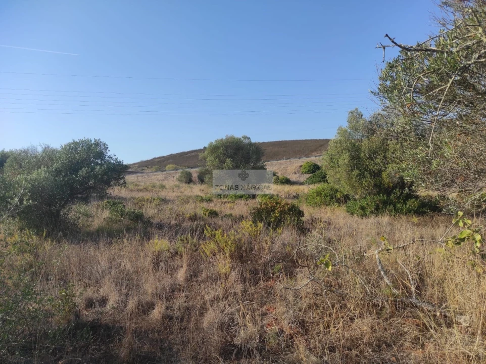 Terreno para Venda em Odiaxere Foto 12
